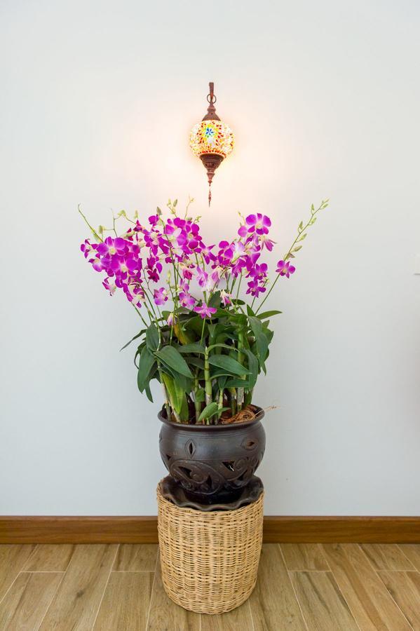 Villa Thai Orchid (Adults Only) Chiang Mai Exteriör bild